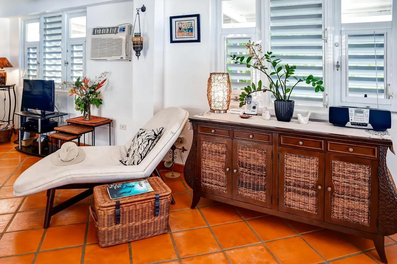 Vieques Island House With Caribbean Views And Pool! Villa Holiday home