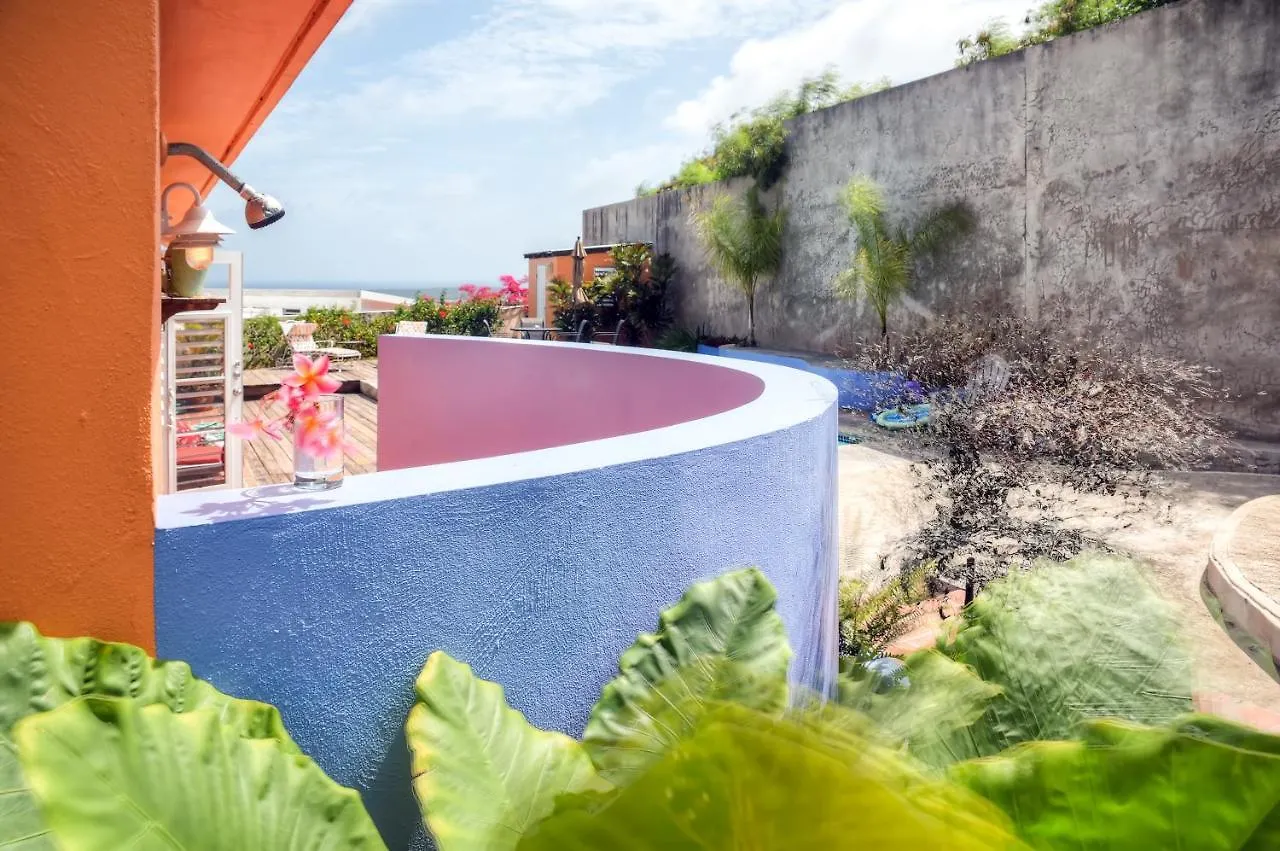 Vieques Island House With Caribbean Views And Pool! Villa Puerto Rico