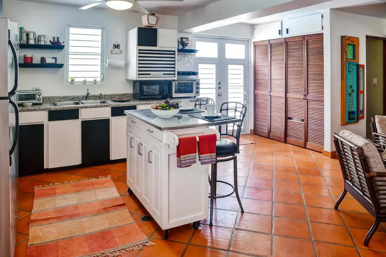 Vieques Island House With Caribbean Views And Pool!ヴィラ プエルトリコ