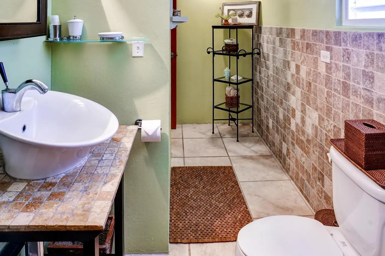 Vieques Island House With Caribbean Views And Pool!ヴィラ 0*,  プエルトリコ